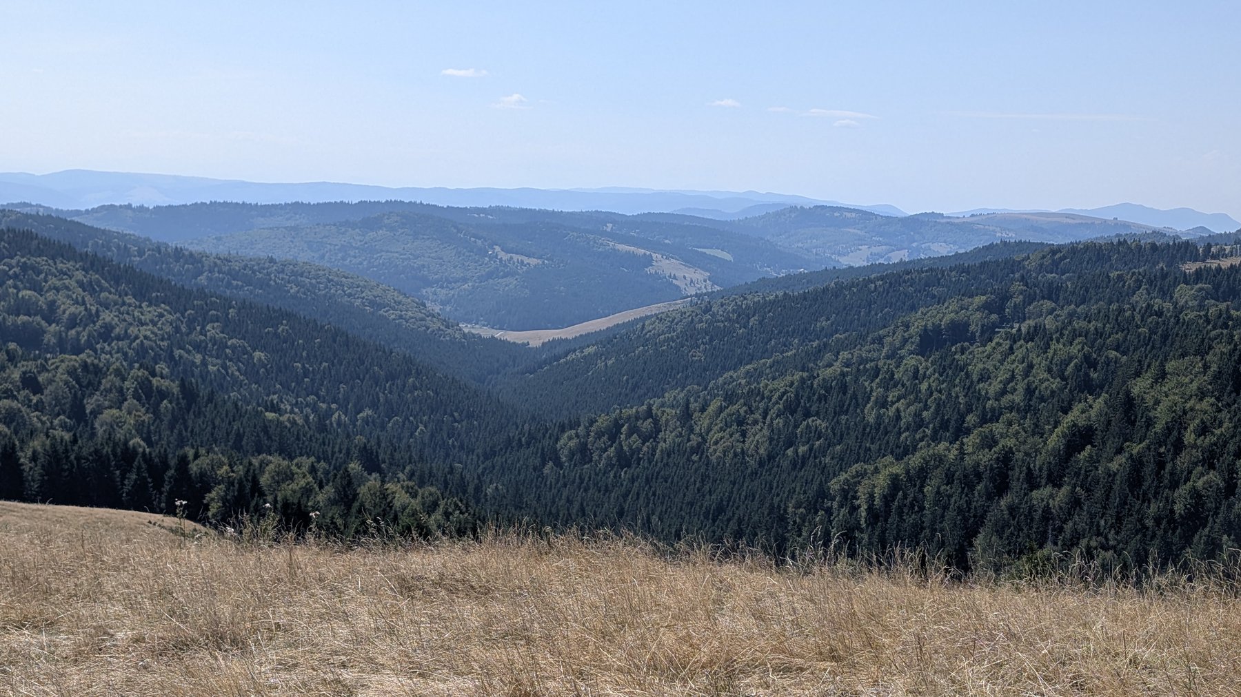 View from the ridge over the forested valleys of the Nemira