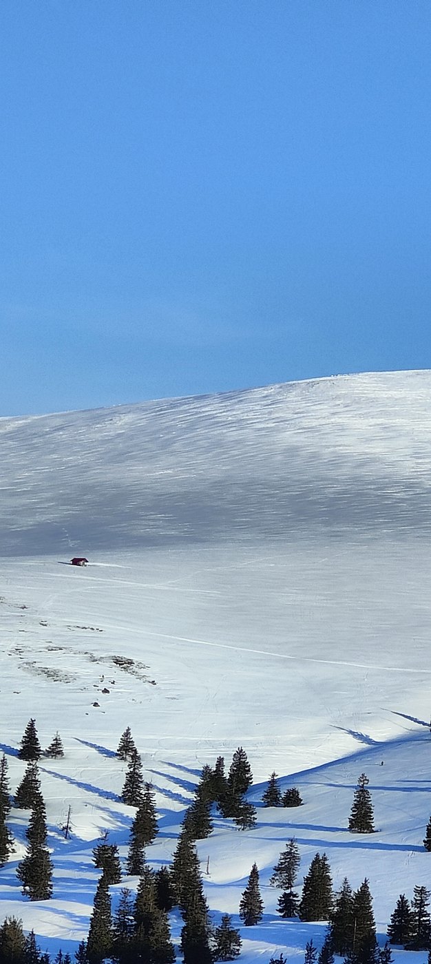 Snow-covered slope in the Nemira Mountains, with the shelter among the fir trees