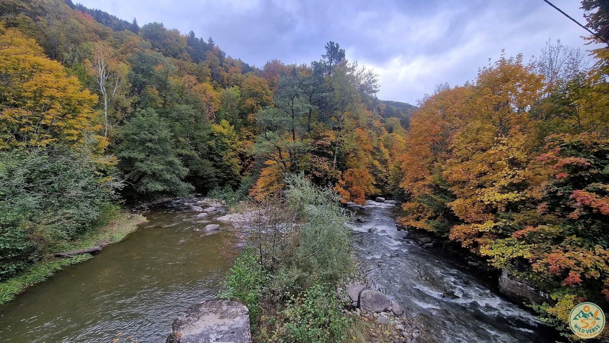 The Uz gorge