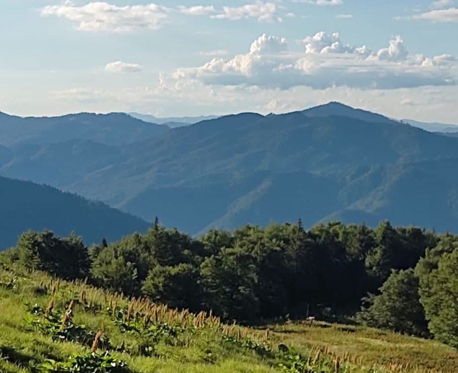 Panoramă de pe creasta Nemirei