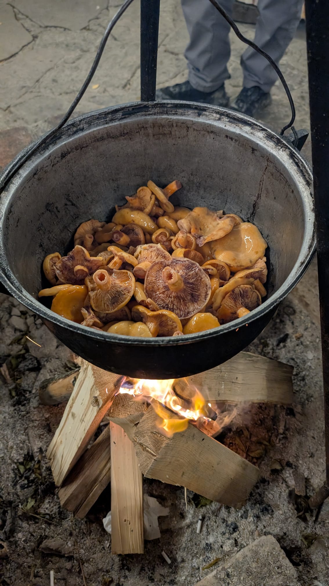 Râșcovi la ceaun