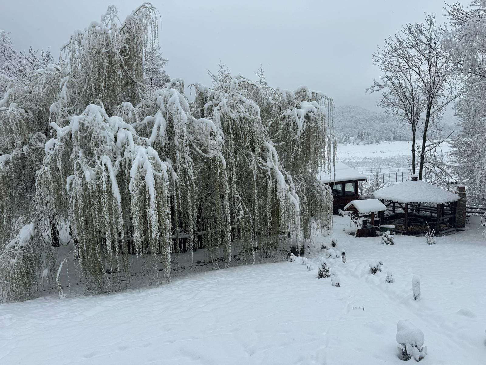 Iarna la cabană
