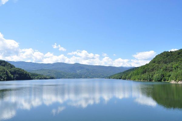 Lacul Poiana Uzului vara
